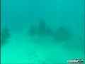 動画7