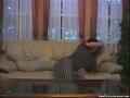 動画1