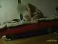 動画3