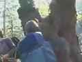 動画2