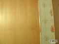 動画1