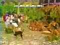 動画3