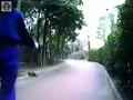 動画1