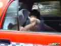 動画2