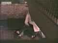 動画1