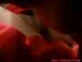 動画4