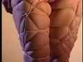 動画1