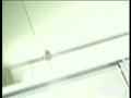 動画1