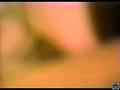 動画8