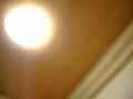 動画2