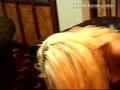 動画6