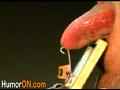 動画1