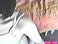 動画3