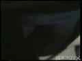 動画1