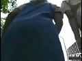 動画1