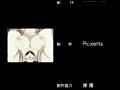 動画6