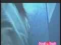 動画2