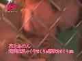 動画1