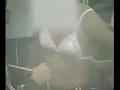 動画1