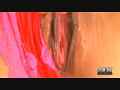動画2