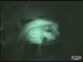 動画5