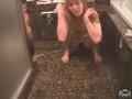 動画2