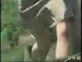 動画1