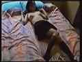 動画4