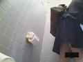 動画1