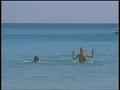 動画1