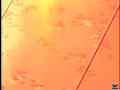 動画3