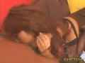 動画4