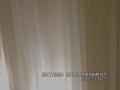 動画1