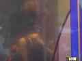 動画1