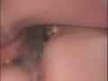 動画17