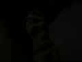 動画2