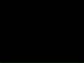 動画1