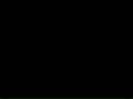 動画1