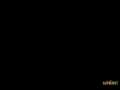 動画1