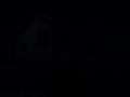 動画1