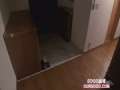 動画1