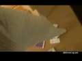 動画3