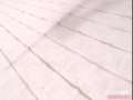 動画6