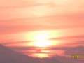 動画1