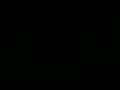 動画1