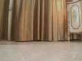動画1