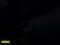 動画1