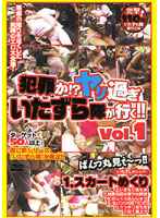 犯罪か！？ヤリ過ぎいたずら隊が行く！！突撃！超エログロ悪行三昧！ vol.1