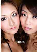 harem 【ハーレム】 Wフェラで男を喰いまくる淫乱痴女達